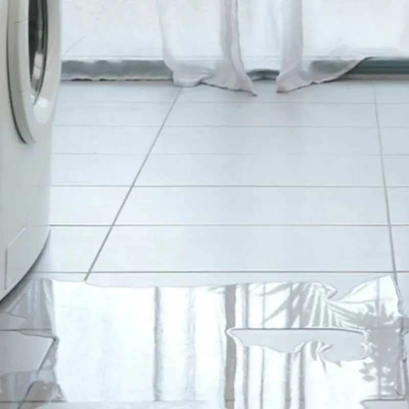 Appliance Leak Cleanup in Morton, WA