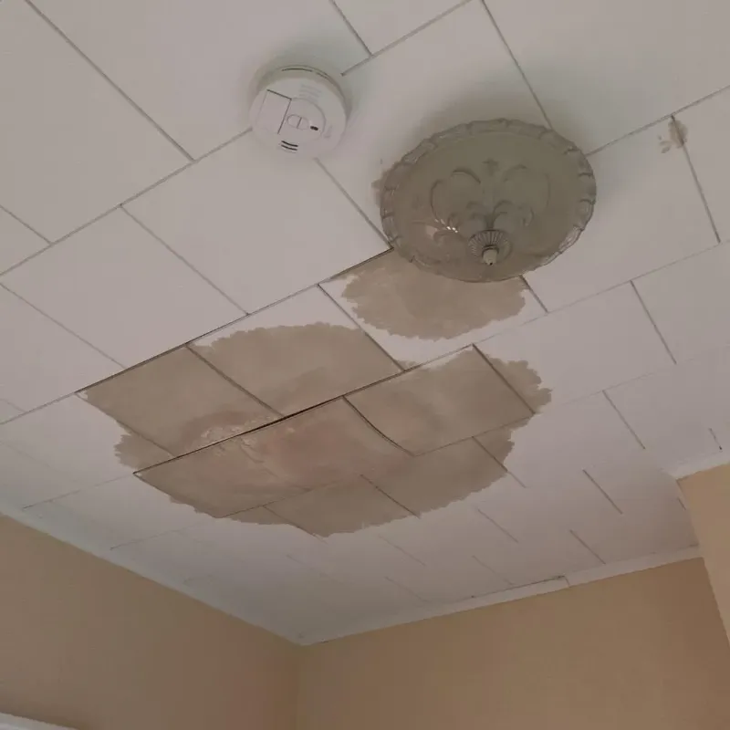 Ceiling Water Damage Repair in Morton, WA