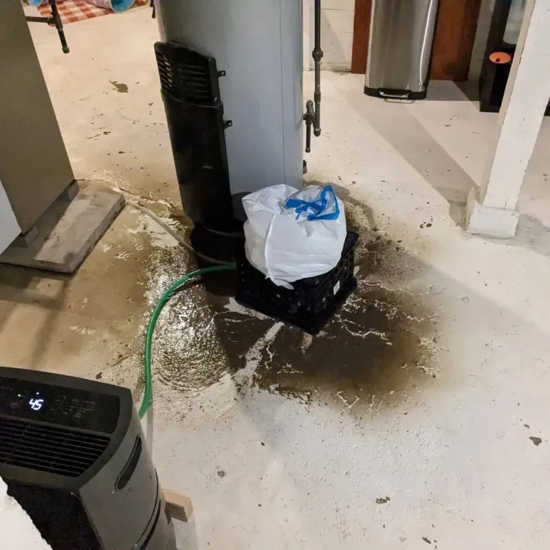 Sewage Backup Cleanup Service in Morton, WA